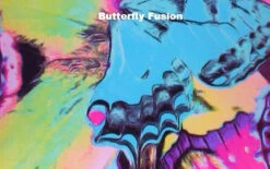 Poly/Spandex Venetta Fit Set - Jacket, Pants & Tank Top -DUMBA Clothing Shop 10 85048 28583 77201.1548343808