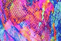 Poly/Spandex Venetta Fit Set - Jacket, Pants & Tank Top -DUMBA Clothing Shop 12 28462 37886 51085.1548343808