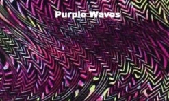 Poly/Spandex Venetta Fit Set - Jacket, Pants & Tank Top -DUMBA Clothing Shop 13 57818 44760 74240.1548343808